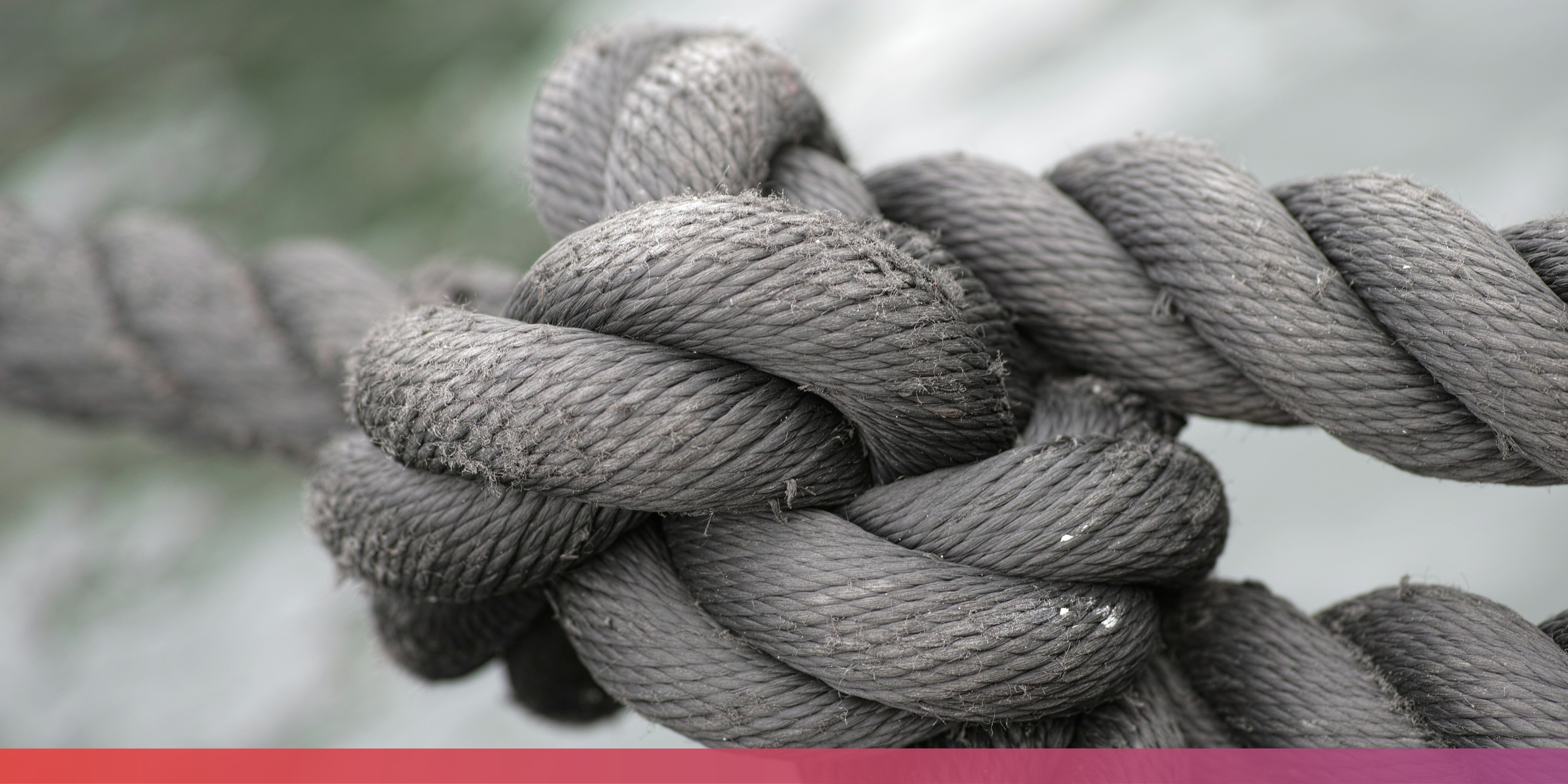 Großer Knoten in Nahaufnahme