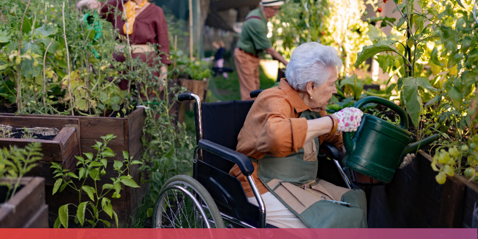 Eine ältere Dame im Rollstuhl gießt eine Pflanze in einem Garten; im Hintergrund stehen weitere ältere Menschen, die sich ebenfalls um Pflanzen kümmern.